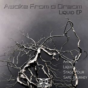 Download track Liquid Awake From A Dream