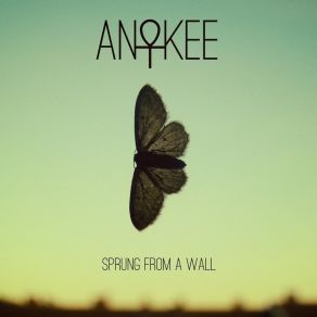 Download track Come Inside Anikee