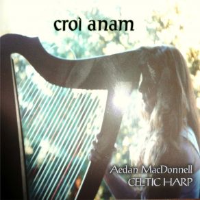 Download track Athlone / Rectory Reel Aedan MacDonnell