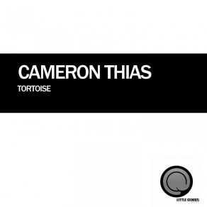 Download track Tortoise (Original Mix) Cameron Thias