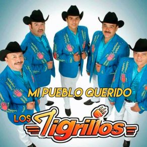 Download track Mi Pueblo Querido Los Tigrillos