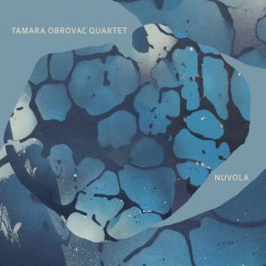 Download track Niki Drugi Svit Tamara Obrovac Quartet