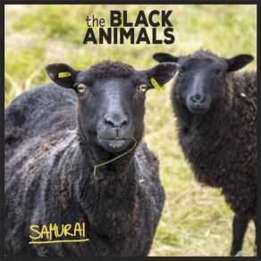 Download track Ogni Giorno The Black Animals