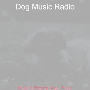 Download track Wondrous Ambience For Separation Anxiety Dog Music Radio