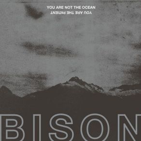 Download track 07-Bison-Water Becomes Fire Bison