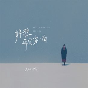 Download track 好想再见你一面 (伴奏) 卢卢快闭嘴