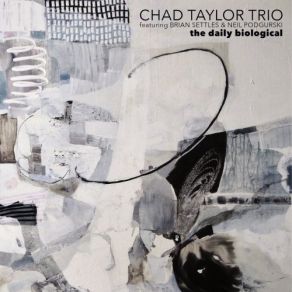 Download track Recife Chad Taylor Trio