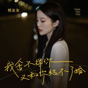 Download track 我舍不得你又和你结不了婚 杨友友