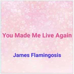 Download track You Decorated My Life James Flamingosis