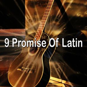 Download track As The Flower Blooms Spanish Guitar Chill Out