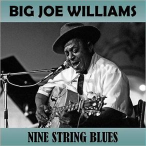 Download track Jiving The Blues Big Joe Williams