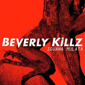 Download track Stephanie Beverly Killz