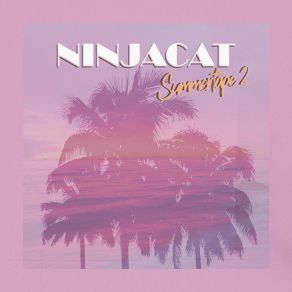 Download track Hot Summer Nights NINJACAT