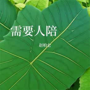 Download track 沉默者 赵柏仑