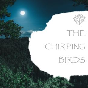 Download track Nature Sounds - Chirps Bird Sounds