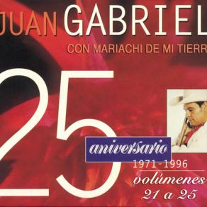 Download track Ya Lo Sé Que Tú Te Vas Juán Gabriel, Mariachi De Mi Tierra