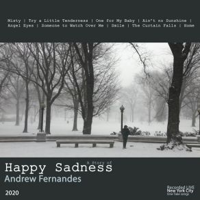 Download track Try A Little Tenderness (Live) Andrew Fernandes