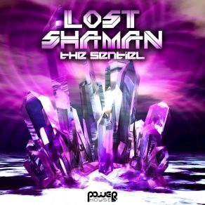 Download track Stellar Equations Lost Shaman