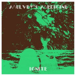 Download track Interlude One Mulvey's Medicine