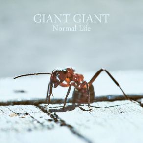 Download track Sidetrack Giant Giant