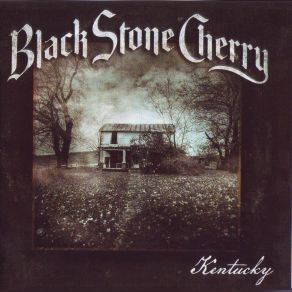 Download track Soul Machine Black Stone Cherry