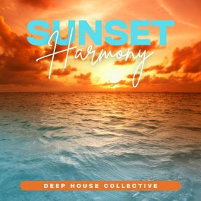 Download track Groove Fusion Deep House Collective