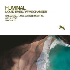 Download track Wave Chamber (Gmj & Matter Remix) HuminalGmj, Matter