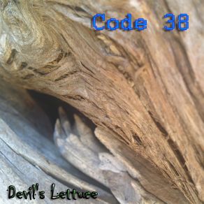 Download track Temperate Encounter Code 38