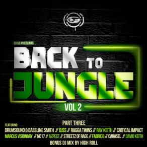 Download track Back To Jungle, Vol. 2 (Pt. 3) (Continuous DJ Mix) High Roll