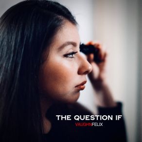 Download track The Question If Vaughn Felix