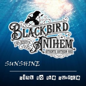 Download track Sink To The Surface Blackbird Anthem