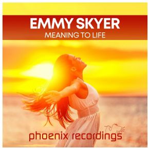 Download track Meaning To Life (Radio Mix) Emmy Skyer