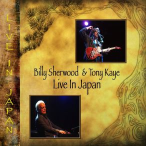 Download track Red Light Ahead (Live) Tony Kaye