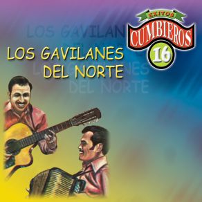 Download track La De Los Oyitos Los Gavilanes Del Norte