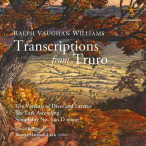 Download track Williams: Symphony No. 5 In D Major (Arr. D. Briggs For Organ): IV. Passacaglia. Moderato David Briggs, Rupert Marshall-Luck