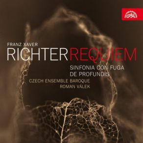 Download track Messa De Requiem A 16 Voci In E-Flat Major: V. Quid Sum Miser - Andantino Roman Valek, Czech Ensemble Baroque, Richter ValekAndantino