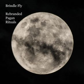 Download track The Rise And Fall Of The Spirit Leech Brindle Fly