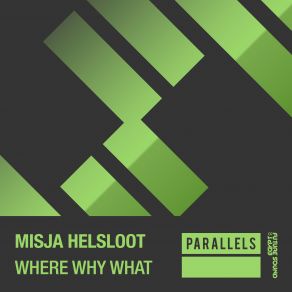 Download track Where Why What (Extended Mix) Misja Helsloot