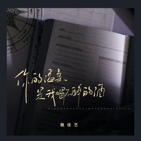 Download track 你的温柔是我喝不醉的酒 (烟嗓版伴奏) 魏佳艺