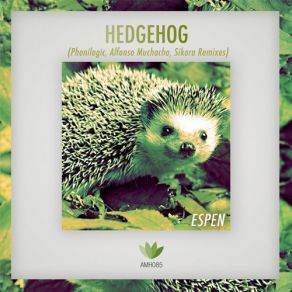 Download track Hedgehog (Alfonso Muchacho Remix) Espen