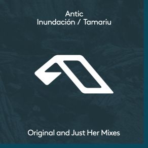 Download track Inundacio? N (Just Her Remix - Edit) Antic