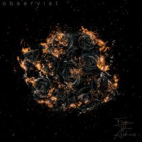 Download track Dystopian Observist