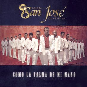 Download track Como Paloma Errante Banda San Jose De Mesillas