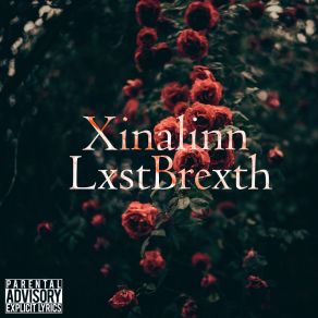 Download track It's Easier To Be Alone... Xinalinn