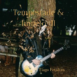 Download track Tempo De Primavera Tiago Fetalian