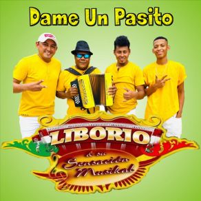 Download track Las Amarillas Su Sensacion Musical