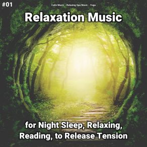 Download track Lovely Background Music To Help You Sleep All Night Yoga