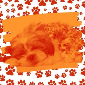 Download track Background For Sleepy Pups Cute Doggy Music