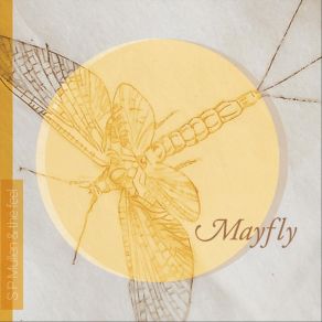 Download track Mayfly S. P. Mullen