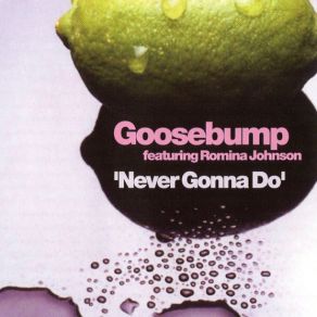 Download track Never Gonna Do (Radio Edit) Romina Johnson, GoosebumpPhunk Investigation